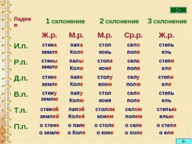 Cклонение существительных в русском языке: правила и примеры