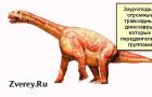 Изображения динозавров с их названиями